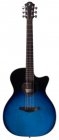 Furch SPECTRA Plus Gc-ER a CBU Lr Baggs SPE