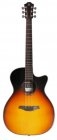 Furch SPECTRA Plus Gc-ER a RYW Lr Baggs SPE