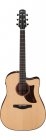 Ibanez AAD300CE-LGS