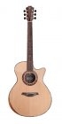 Furch Red Deluxe GC-LR LR Baggs HiFi CNR Active