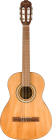 Fender CN-25 Nylon 3/4 WN NAT