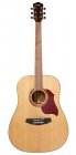 Carter Guitars CGD-140S NL Demo