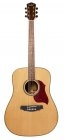 Carter Guitars CD-180S NL Demo