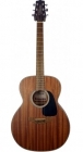 TAKAMINE GN11M-NS B-Stock