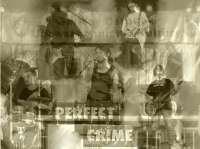 Perfect Crime