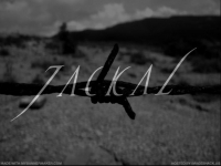 Jackal