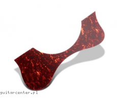 Framus SP FR FJ PG TOR