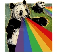 Panda Needs a Bamboo