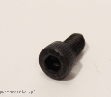 WSC LN SCREW-BK