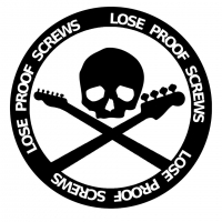Lose Proof Screws