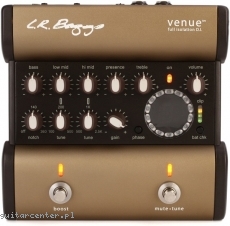 L.R.Baggs Venue DI