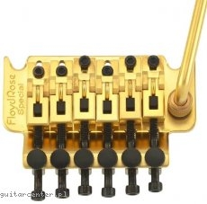 Floyd Rose FRTS3000S Special