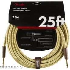 Fender FG25 Deluxe TWD