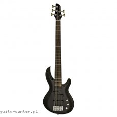 Aria IGB-STD/5 MBK