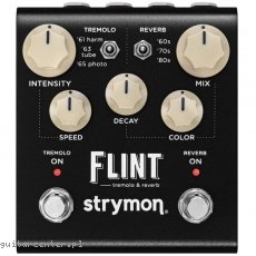 Strymon Flint V2
