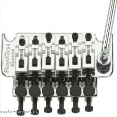 Floyd Rose FRTS1000 Special