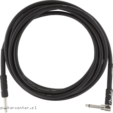 Fender FG10L Professional