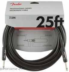 Fender FG25 Professional