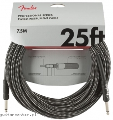 Fender FG25 Professional GTWD