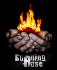Burning Rose