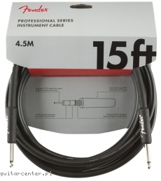 Fender FG15 Professional