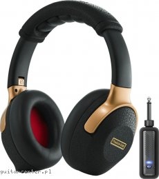 Positive Grid Spark NEO