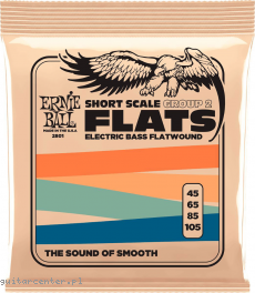 Ernie Ball 2801 45-105