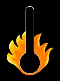 The Madfever