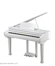 Kurzweil KAG 100 WH