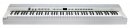 Kurzweil KA S1 White