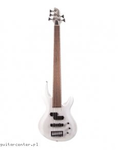 Aria IGB-STD/5 PWH