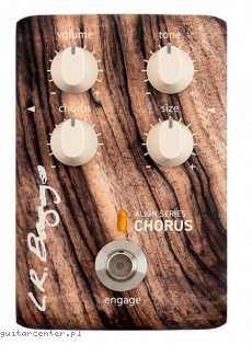 L.R. Baggs Align CHORUS