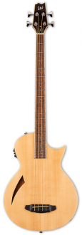 ESP LTD TL-4 NG