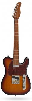 Larry Carlton T7 TS