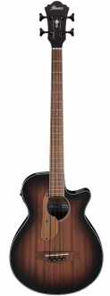 Ibanez AEGB24E MHS