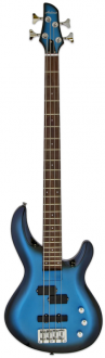 Aria IGB-STD MBS