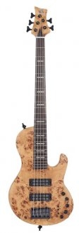 Marcus Miller F10-5