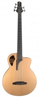 Furch BC 61-CM5 LR Baggs