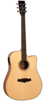 Tanglewood TP5 SE