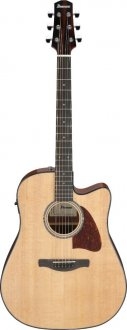Ibanez AAD51CE-NT