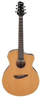 Ibanez PA230E-NSL
