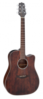 Takamine GD21CE-SM