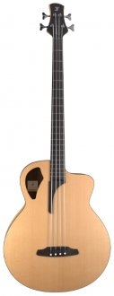 Furch Bc 61-CM 4 LR Baggs