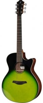 Furch SPECTRA Plus Gc-ER a CGR Lr Baggs SPE