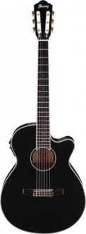 Ibanez AEG10NII BK EXPO