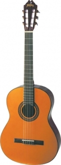 Washburn C40 N