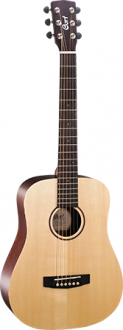 Cort Earth Mini