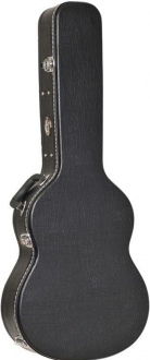 Ever Acoustic Case