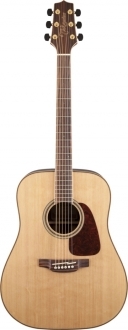Takamine GD93 NAT
