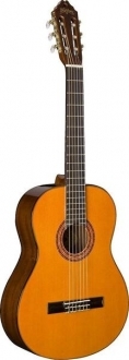 Washburn C5